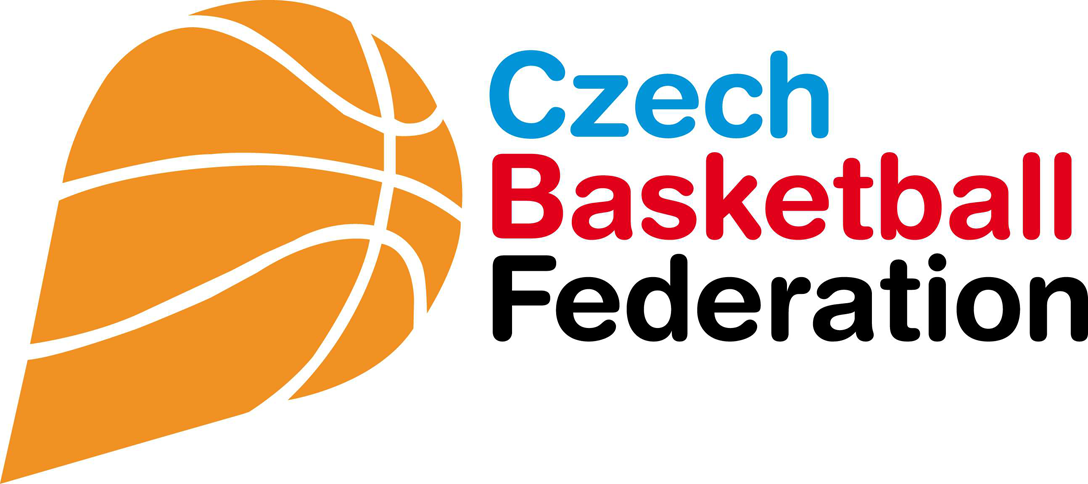 Czech Republic 0-Pres Primary Logo iron on heat transfer